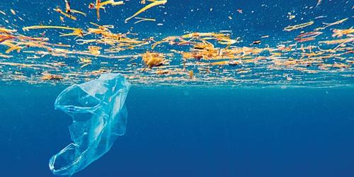 Plastic-bag-ocean